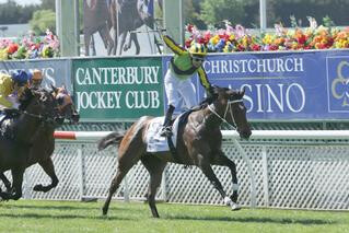 Ugo Foscolo (NZ) wins the Group 1 Sothys New Zealand 2000 Guineas. Photo: Trish Dunell.